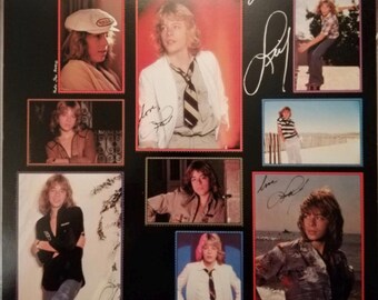 Leif Garrett Feel the Need 1978 LP With Collector's Cards NM/M - Etsy
