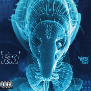 May include: A blue and black album cover with the title "Infrared Riding Hood" and the artist's name "Tad" in white text. The album cover features a close-up image of a blue insect.