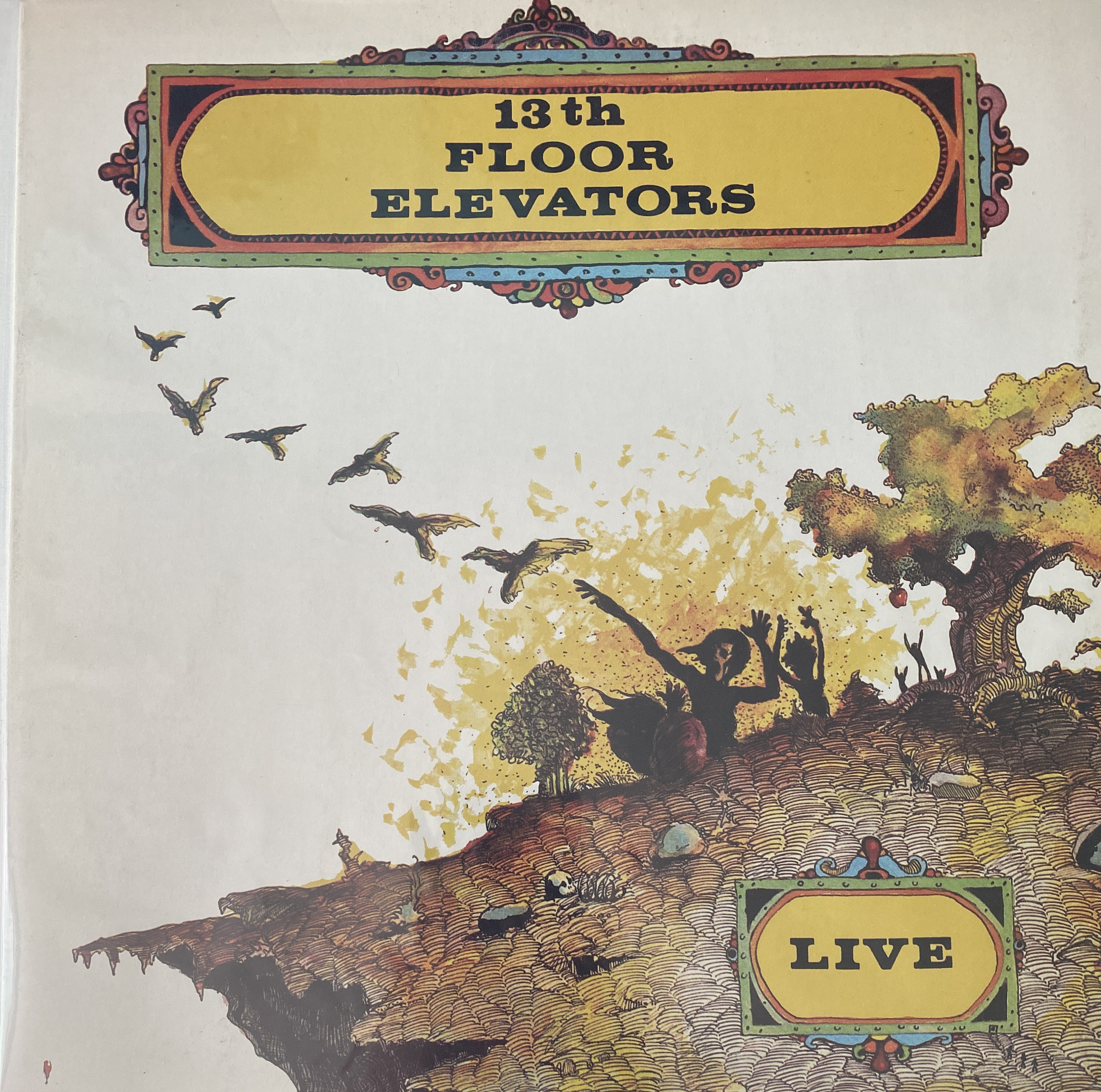 13th Floor Elevators Live LP NM/M - Etsy