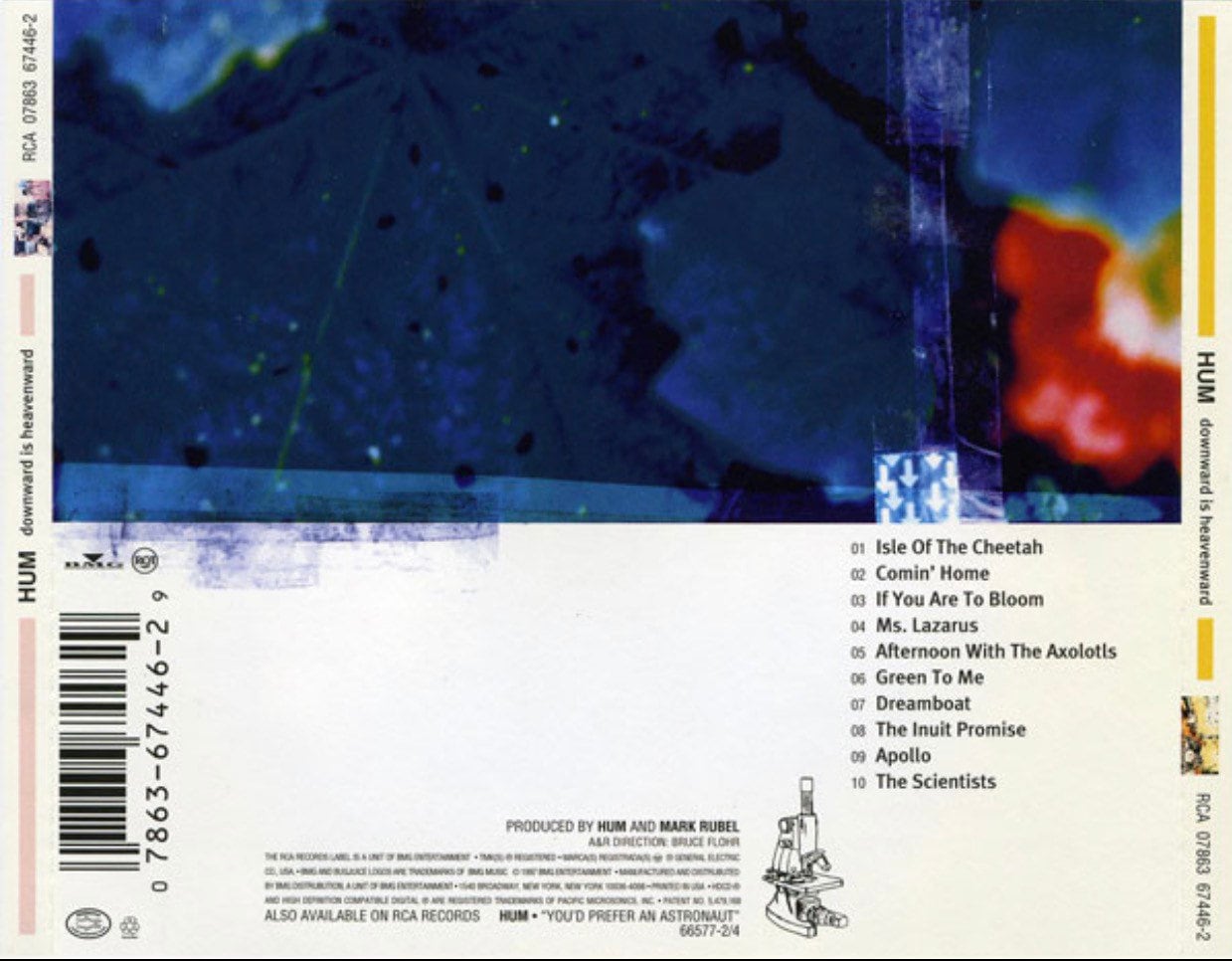 The Working Title – Everyone Here Is Wrong | Releases