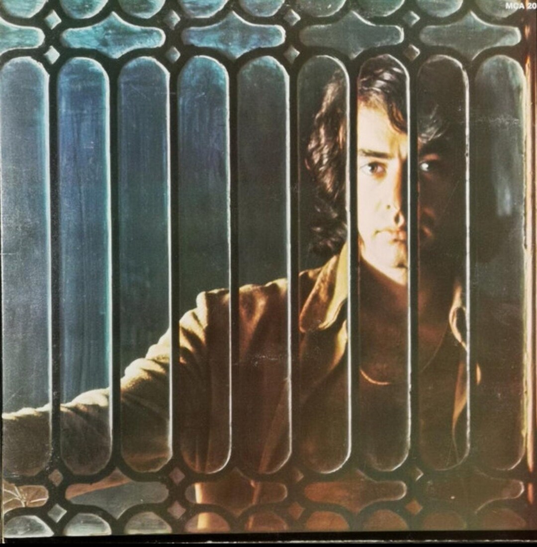 Neil Diamond Tap Root Manuscript LP Etsy