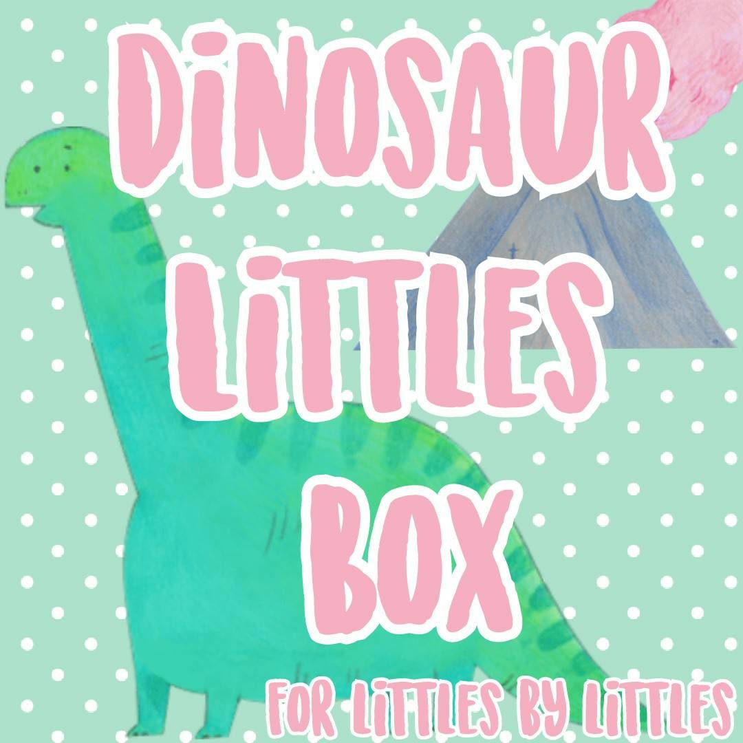 Little space dinosaur mystery box Etsy