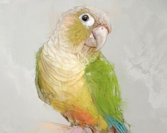 Custom Bird Portrait, Beautiful Pet Artwork, Custom Parrot Canvas, Personalized Green Conure Animal Wall Art Gift