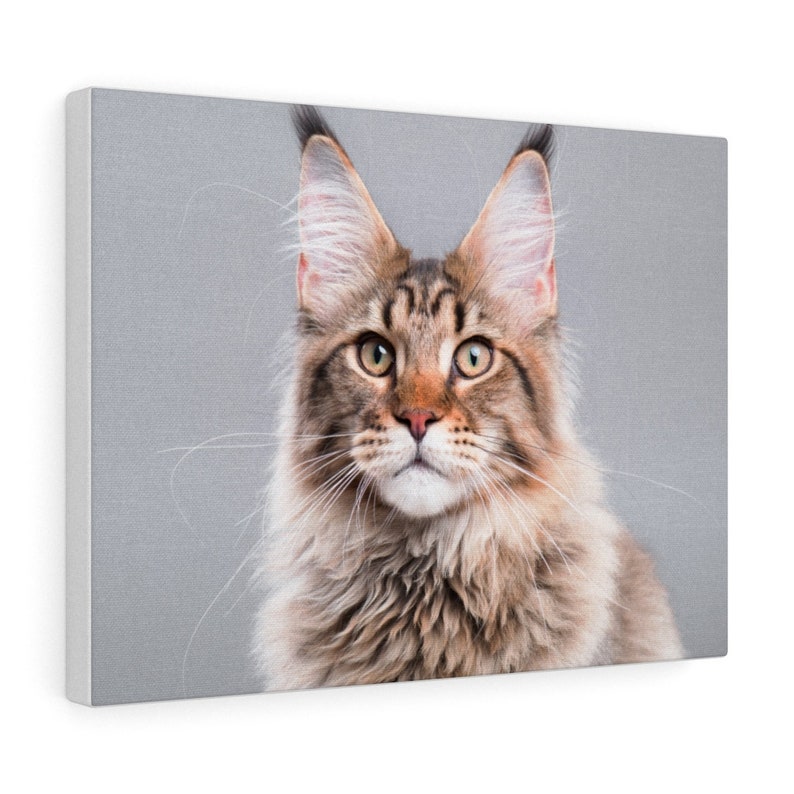 Beautiful Animal Art Cute Home Decor Cute Siberian Cat Canvas Artwork Wild Animal Nature Gift Lovely Wall Art