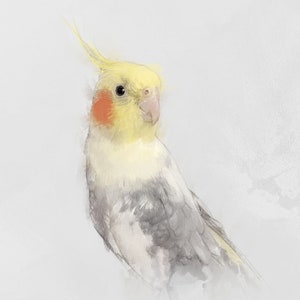 Custom Bird Portrait, Beautiful Pet Artwork, Custom Parrot Canvas, Personalized Cockatiel Animal Wall Art Gift