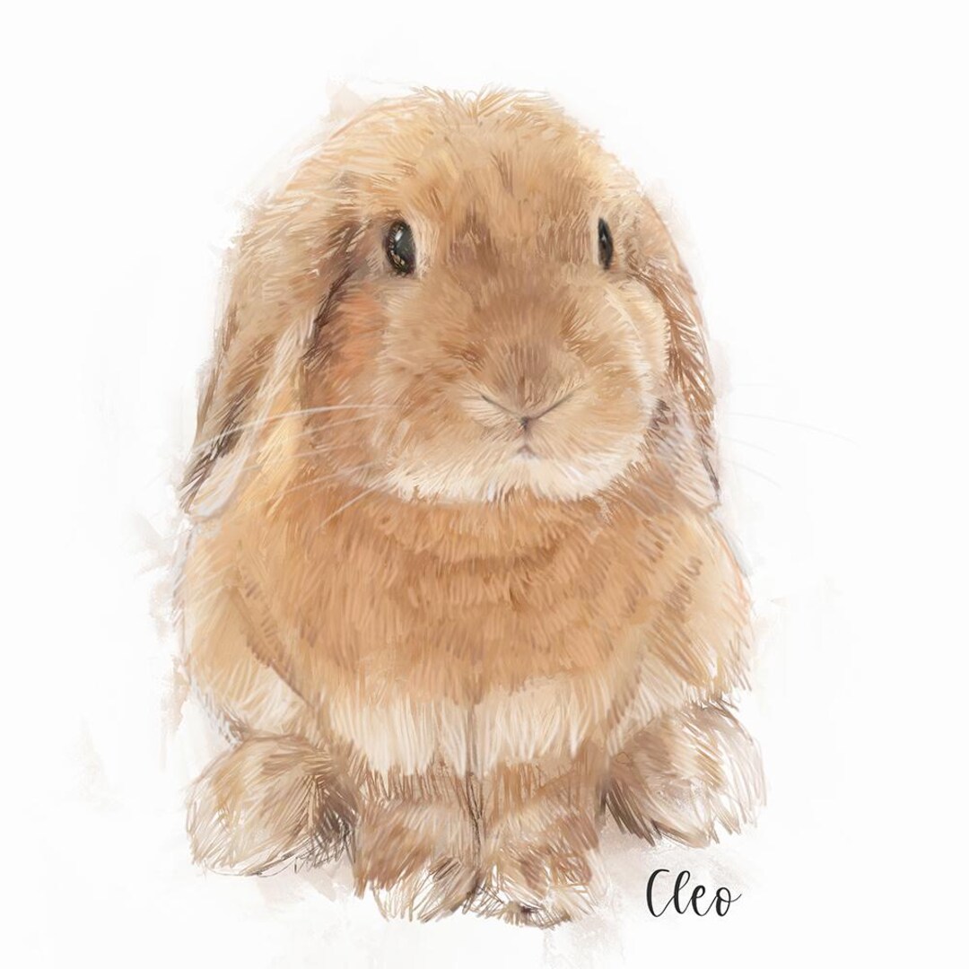 Custom Rabbit Portrait: Colorful Pet Canvas Art, Memorial Gift - Etsy