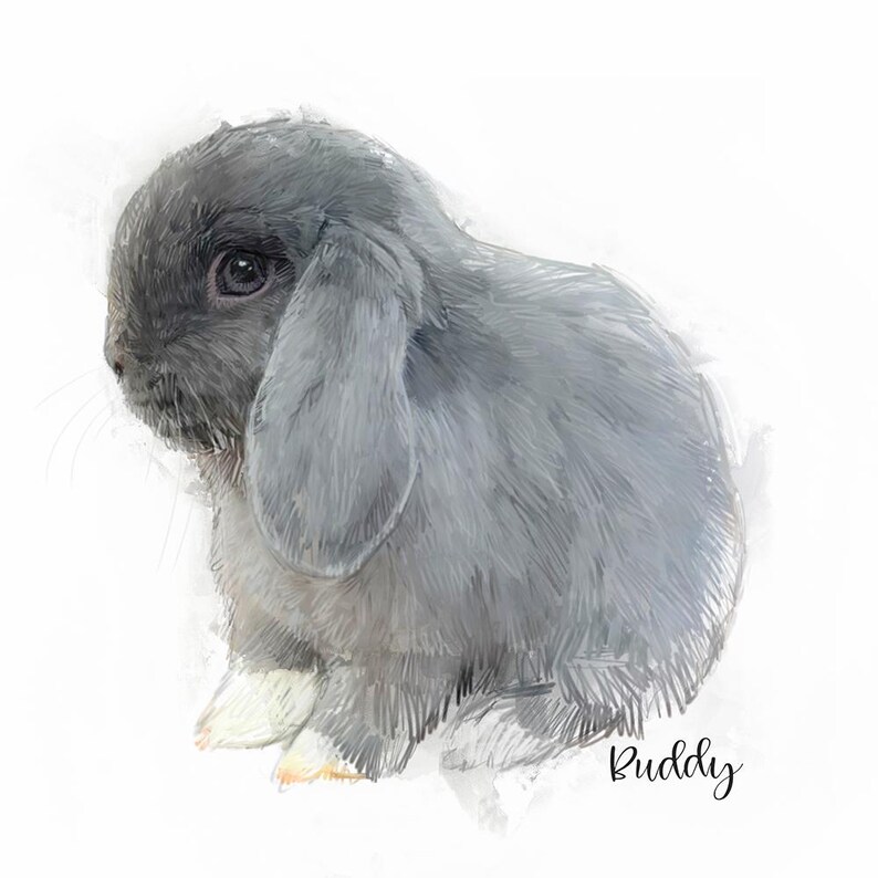 Custom Rabbit Portrait: Colorful Pet Canvas Art, Memorial Gift - Etsy