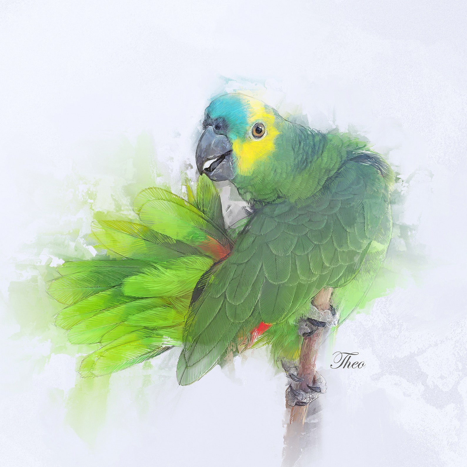 Custom Bird Portrait Beautiful Pet Artwork Custom Parrot Etsy custom-bird-portrait-beautiful-pet-artwork-custom-parrot-etsy