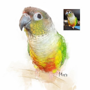 May include: A watercolor painting of a green, yellow, and red Quaker parrot perched on a branch. The parrot is looking to the left of the image. The painting is signed "Mur".
