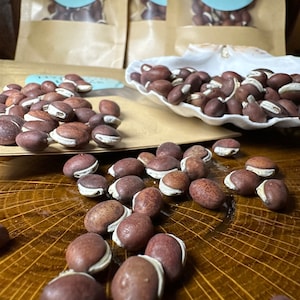 50 Lablab Hyacinth Bean Seeds for growing