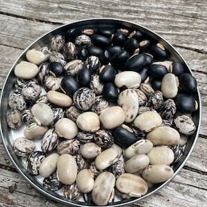 150 Mixed Organic Mucuna Bean Seeds for growing, Mucuna Pruriens, Ayurveda Superfood, Resealable Pouch