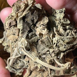 10 oz Dried Patchouli Leaf Fresh aromatic from the tropics of Indonesia Incense Tea Weddings Ceremonial