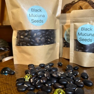 16 oz  Black Mucuna Bean Seeds for growing, Mucuna Pruriens, Ayurveda Superfood, Resealable Pouch