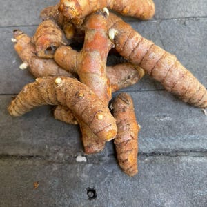 May include: A pile of turmeric root, a bright orange-yellow spice, with visible white buds. The turmeric is on a gray textured surface.