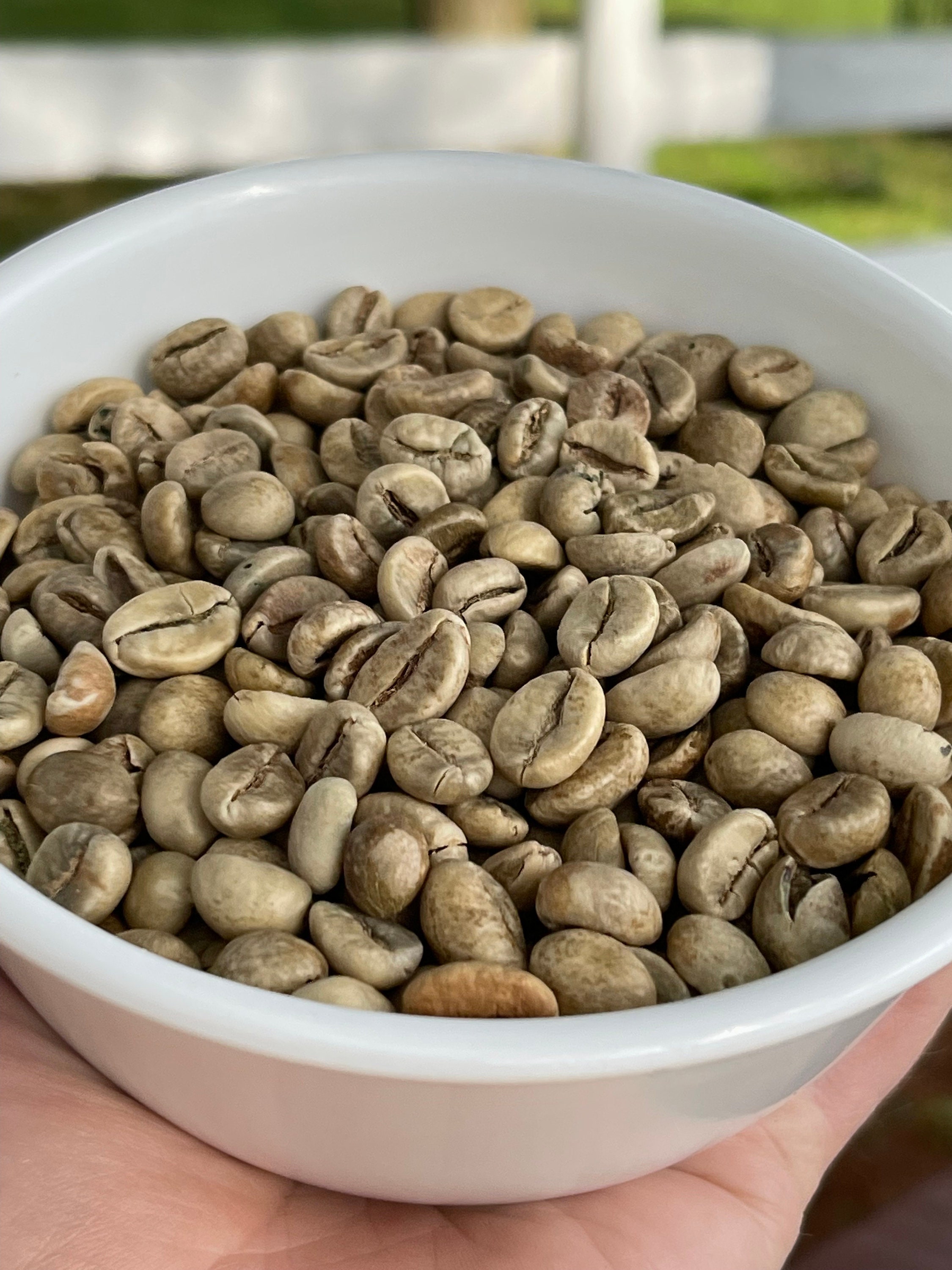1 Pound Kopi Luwak Raw Unroasted Coffee Beans From Indonesia