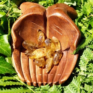 May include: A wooden hand-shaped bowl holds a collection of golden citrine crystals. The bowl is surrounded by green foliage.