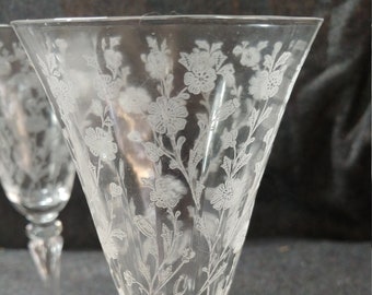 Water Goblet in Rose Marie Clear (Etched) by TIFFIN-FRANCISCAN