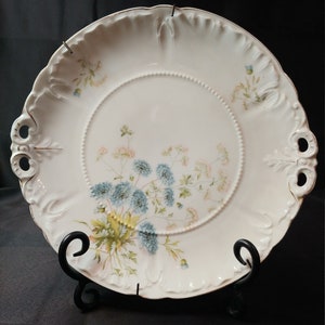 Hand painted Gorgeous Display Plate Carl Tielsch CT Germany