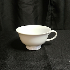 Classic Rose by Rosenthal Group Germany Footed Tea/Coffee Cup