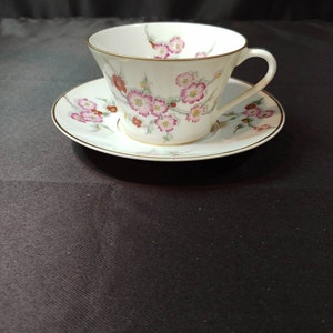 Antique Limoges A. Lanternier cup and saucer with wild rose design