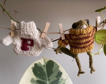 Knitted sweater for mister froggy