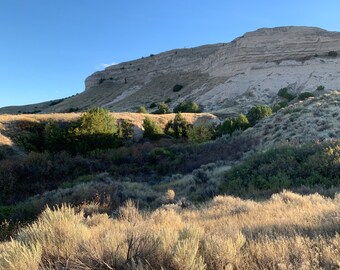 Digital Midwest Landscape Print