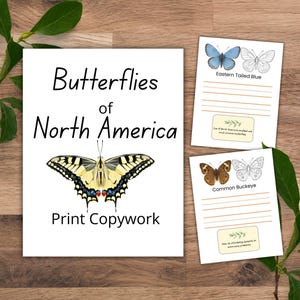 May include: A wooden surface displays a print titled "Butterflies of North America" with a butterfly illustration. Two smaller prints show butterfly drawings and text. Green leaves frame the scene.