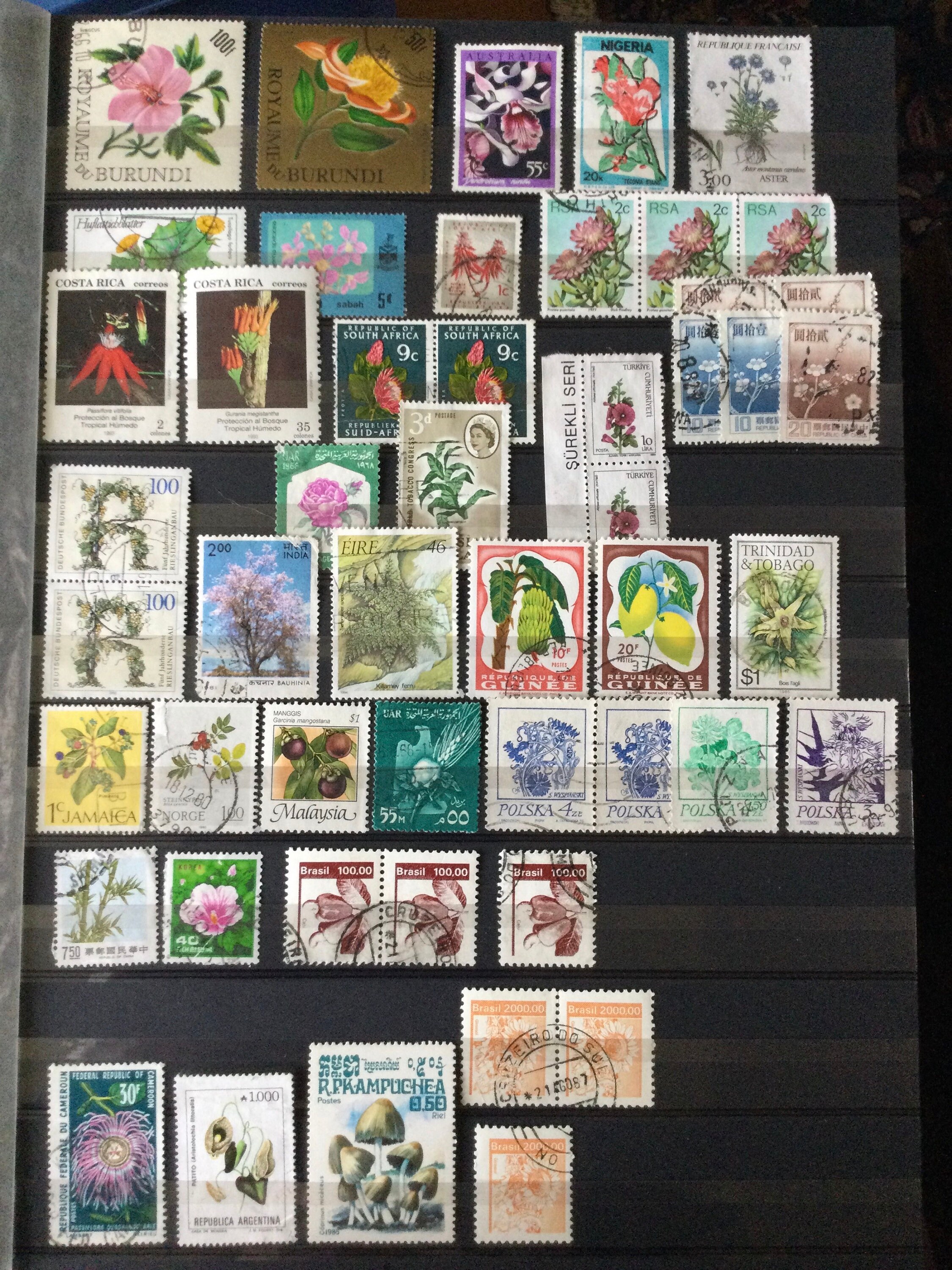 Huge Stamp Collection for sale Only 2 left at 75