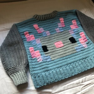 Pixel Axolotl Sweater Crochet Pattern image 10