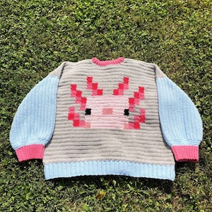 Puede incluir: Un su&eacute;ter de crochet gris con detalles azules y rosas. El su&eacute;ter presenta un dise&ntilde;o de ajolote pixelado en la parte delantera.