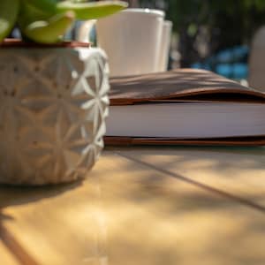 May include: A brown leather-bound journal with white pages sits on a wooden table next to a white ceramic planter with a succulent plant.