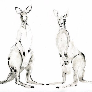 Kangaroo Print | Australian Animal Wall Art | Kangaroo Pair | Hand Drawn Print | Black and White