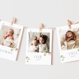 Secret Garden First Birthday Photo Banner, 1st Birthday Photo Banner, Modern Monthly Milestone Photo Cards, Photo Garland, Instant Download