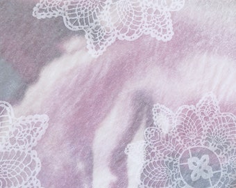 Papel de seda blanco con encaje, translúcido para envolver regalos (5 hojas)