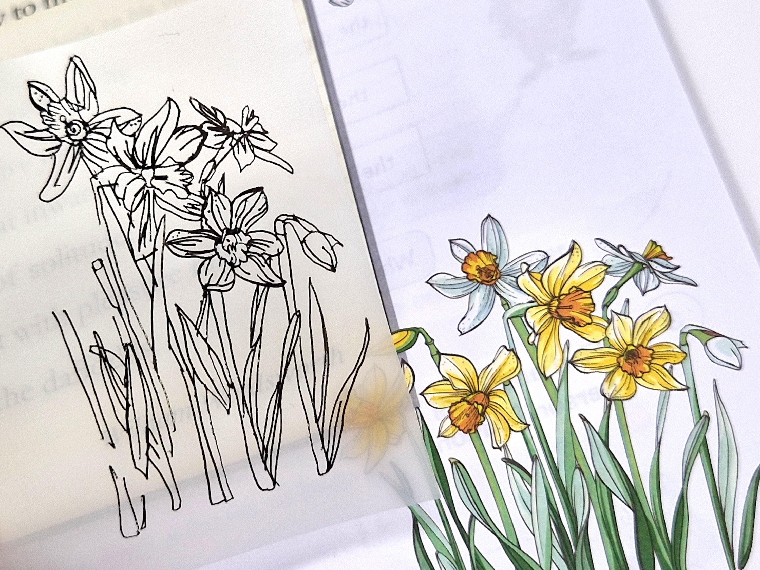 Transparent Sticky Notes