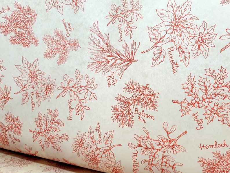 Carta velina floreale invernale - Fogli per regali di Natale (set da 5) immagine 2