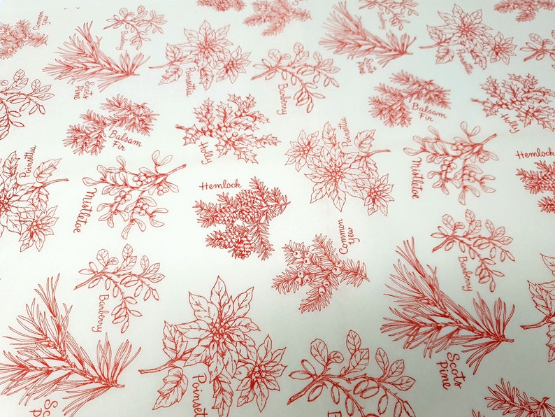 Carta velina floreale invernale - Fogli per regali di Natale (set da 5) immagine 3