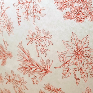 Fogli di carta velina a tema invernale x5 - Carta velina natalizia stagionale ideale