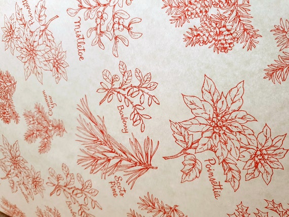 Winter Floral Tissue Paper - Christmas Gift Wrap Sheets (Set of 5)