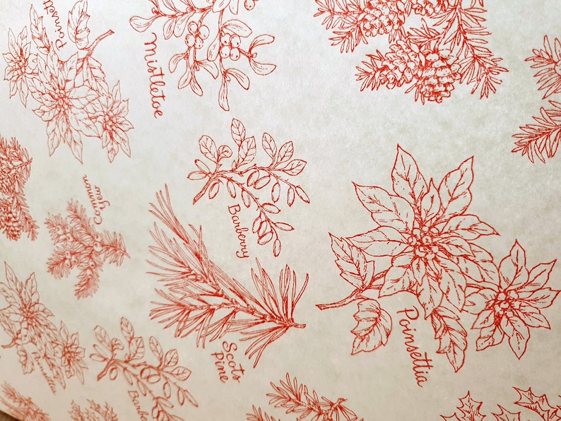 Carta velina floreale invernale - Fogli per regali di Natale (set da 5) immagine 1
