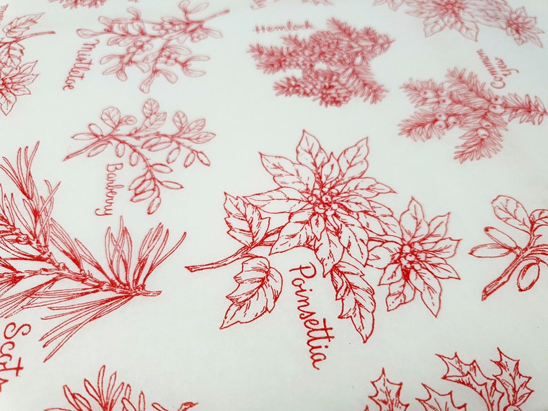 Pu&ograve; includere: Carta da regalo natalizia rossa e bianca con una variet&agrave; di illustrazioni botaniche e nomi, tra cui vischio, cicuta, berberis, tasso comune e stella di Natale.