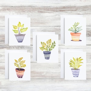 Plante en pot vierge à l'intérieur des cartes de voeux pour toute occasion