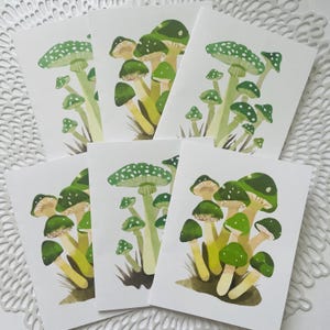 10 cartes de correspondance pliantes aquarelles champignons verts - intérieur vierge - cartes pour toutes les occasions, cartes juste parce que, cartes de voeux champignons forestiers
