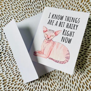 Aanmoedigingskaart haarloze kat "Ik weet dat dingen nu harig zijn" Aanmoedigingskaart Sphynx Cat, grappige aanmoedigingskaart, grappig baanverlies