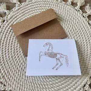 Horse Skeleton Card: Equestrian Vet Gift, Blank Inside