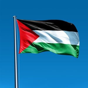 Palestine Flag 5ft x 3ft