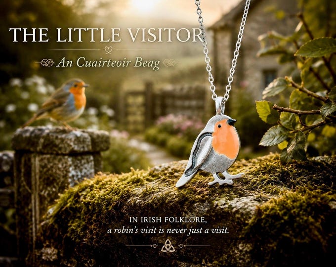 The Little Visitor | An Cuairteoir Beag | Robin Necklace | Irish Folklore Jewellery | Memorial Gift
