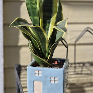 May include: A potted snake plant with green and yellow striped leaves sits in a light blue ceramic pot shaped like a house. The pot has a wooden door and window details. The plant is on a black metal shelf.