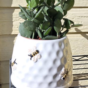 May include: A white ceramic planter with a textured surface and three bee embellishments. The planter holds a green leafy plant. The planter is sitting on a black metal shelf.