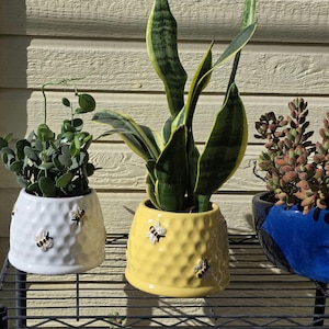 May include: Three potted plants on a black metal shelf. The pots are white, yellow, and blue. The white and yellow pots have a textured surface with bee embellishments. The plants include a snake plant and a succulent.
